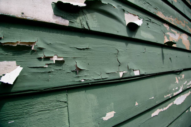 Best Siding Painting and Refinishing  in Wilmerding, PA